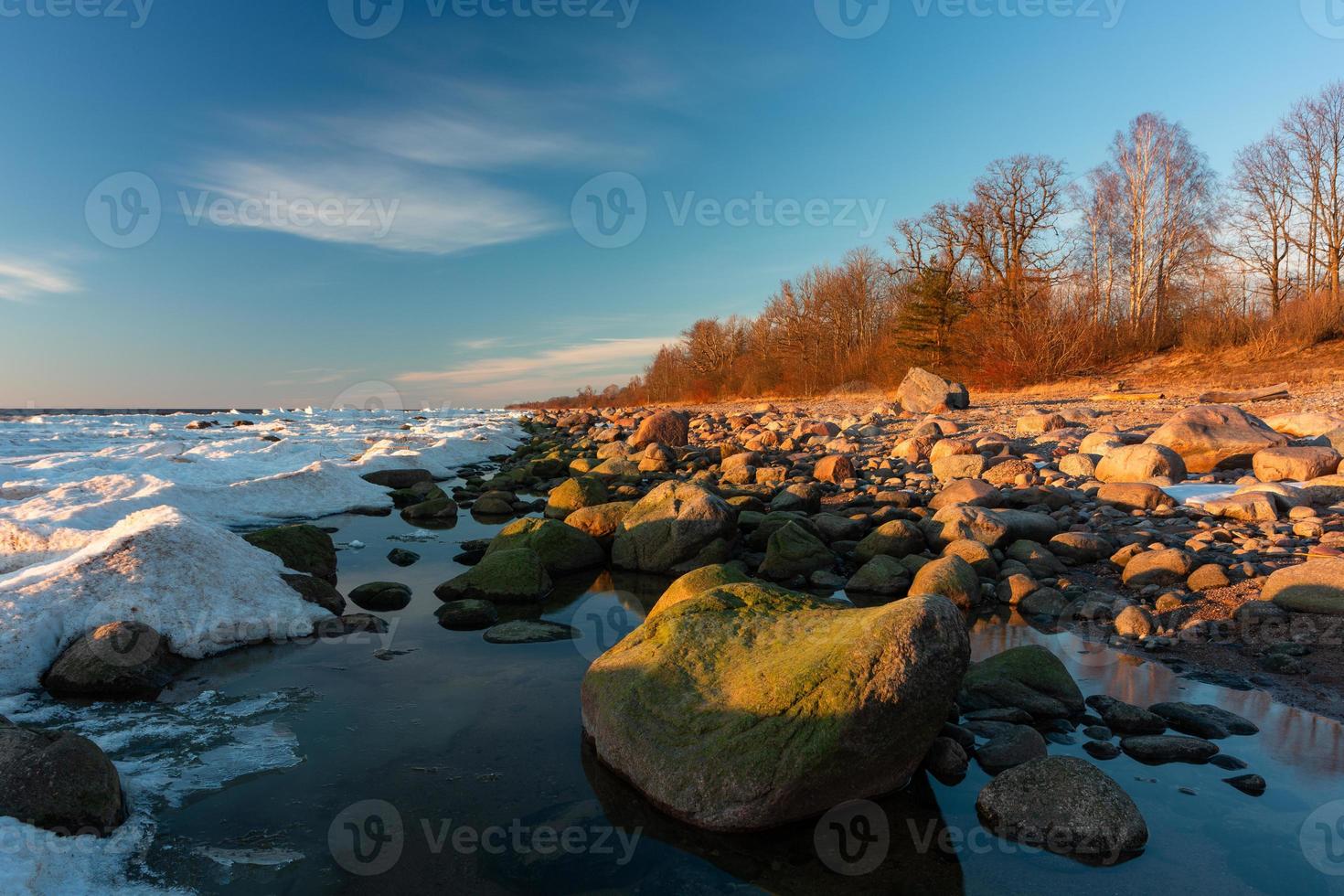 Baltic Sea Coast photo