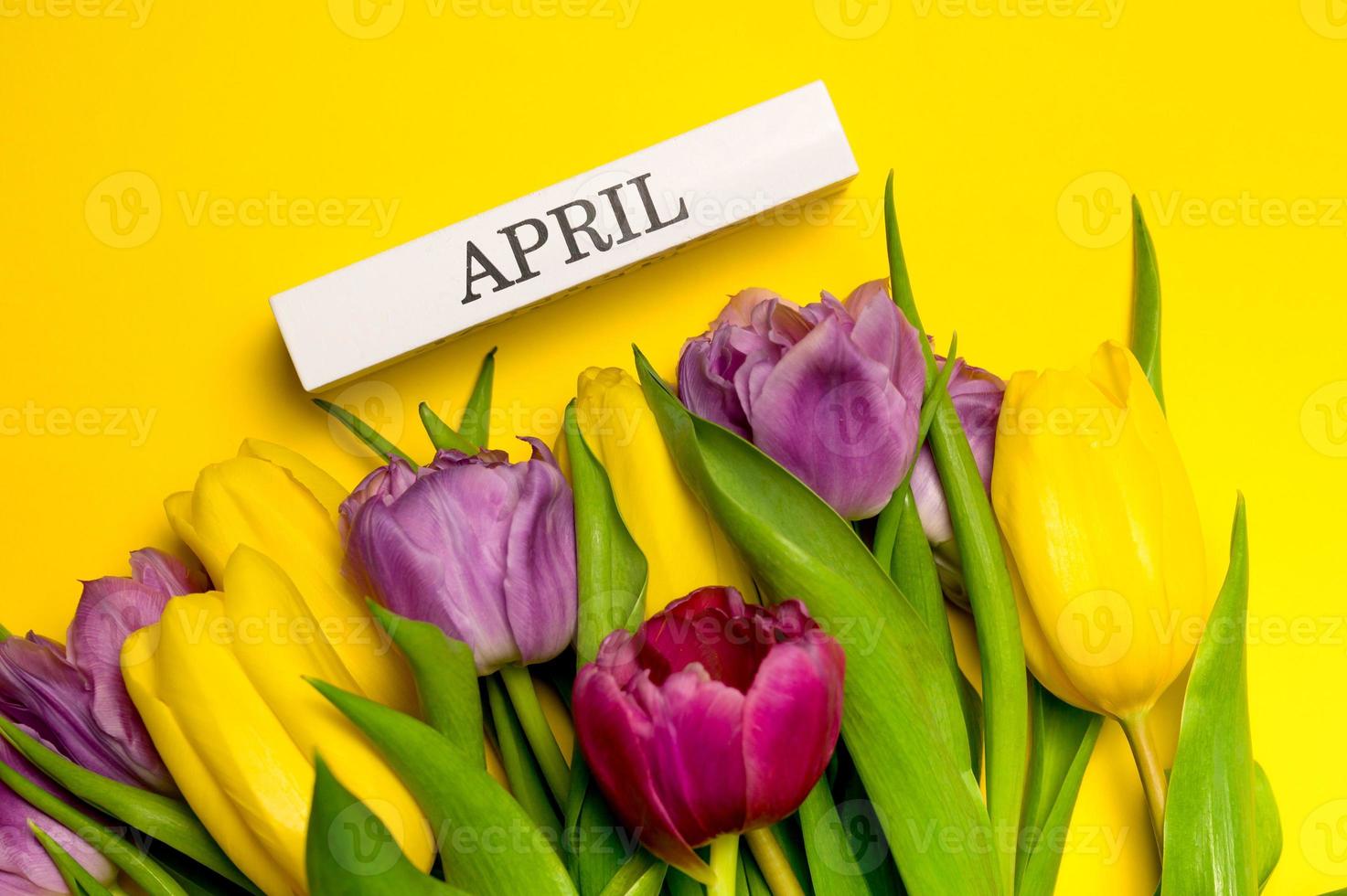 Easter card with tulips and april written on wooden block. photo