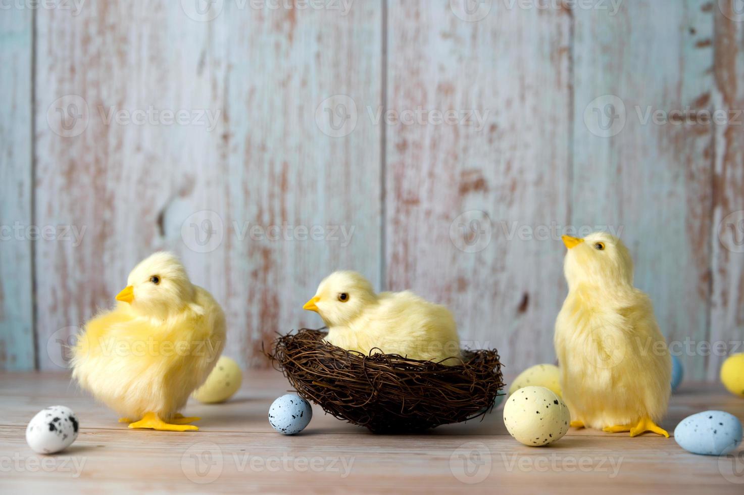 Easter greeting card with yellow chicken surrounded with white,yellow and blue eggs. Banner with place for text photo