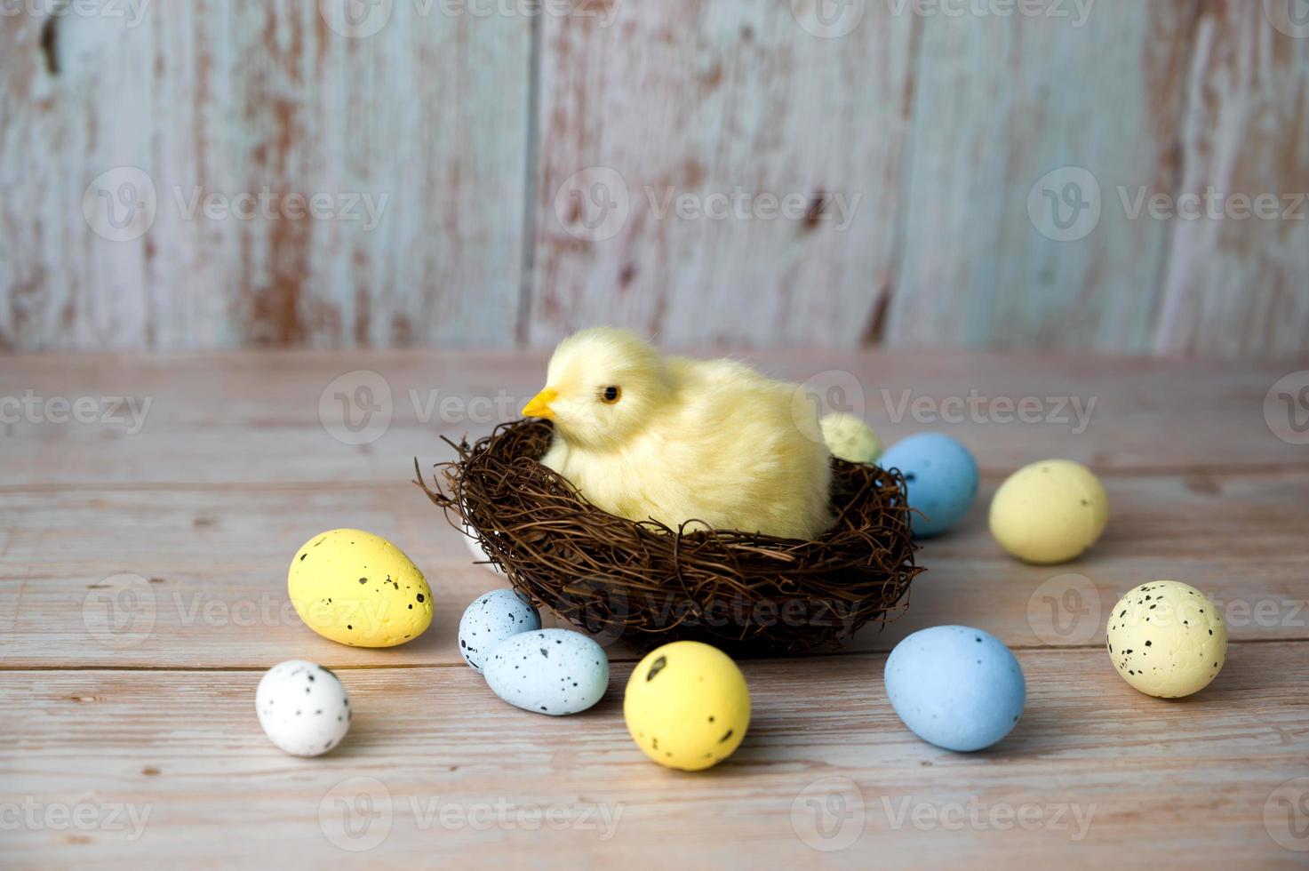 Easter greeting card with yellow chicken in the nest. Place for text photo