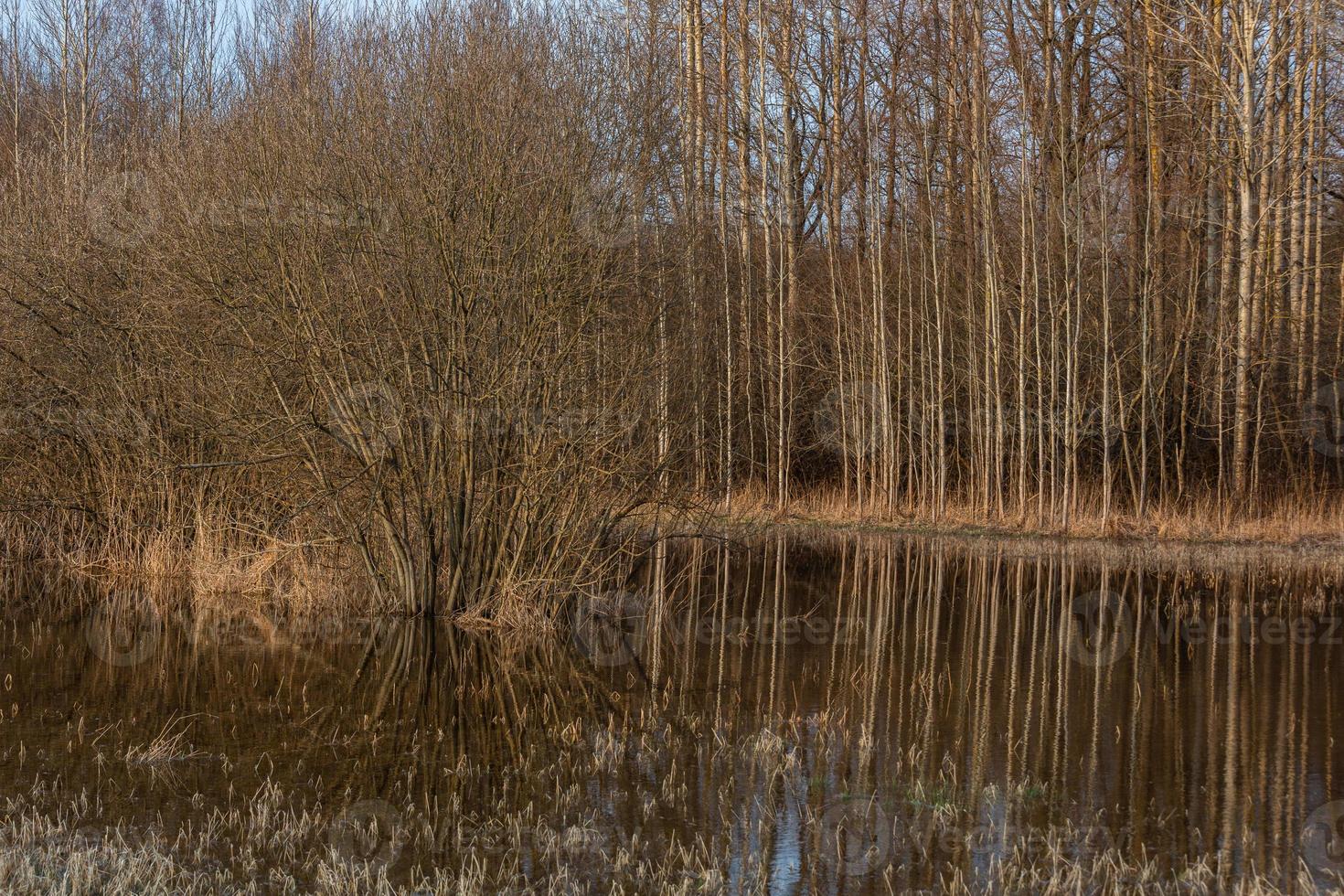 Flooded Meadows in Spring photo