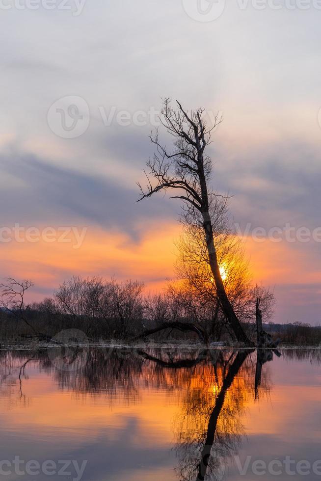 Flooded Meadows in Spring photo