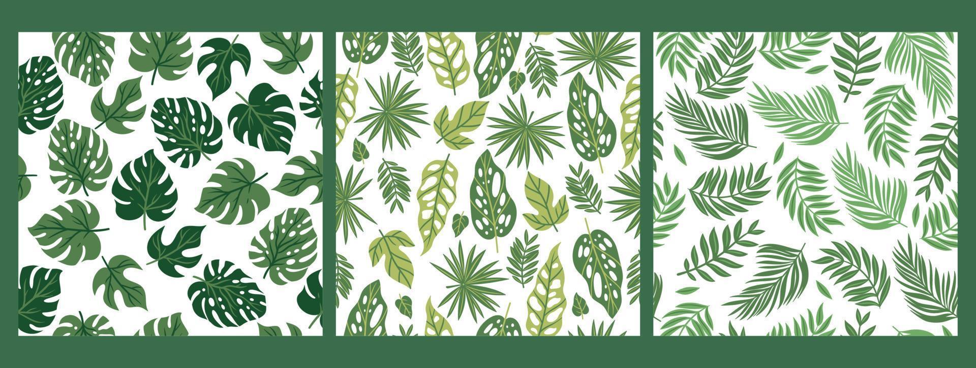 Set of patterns with tropical leaves. Vector graphics.