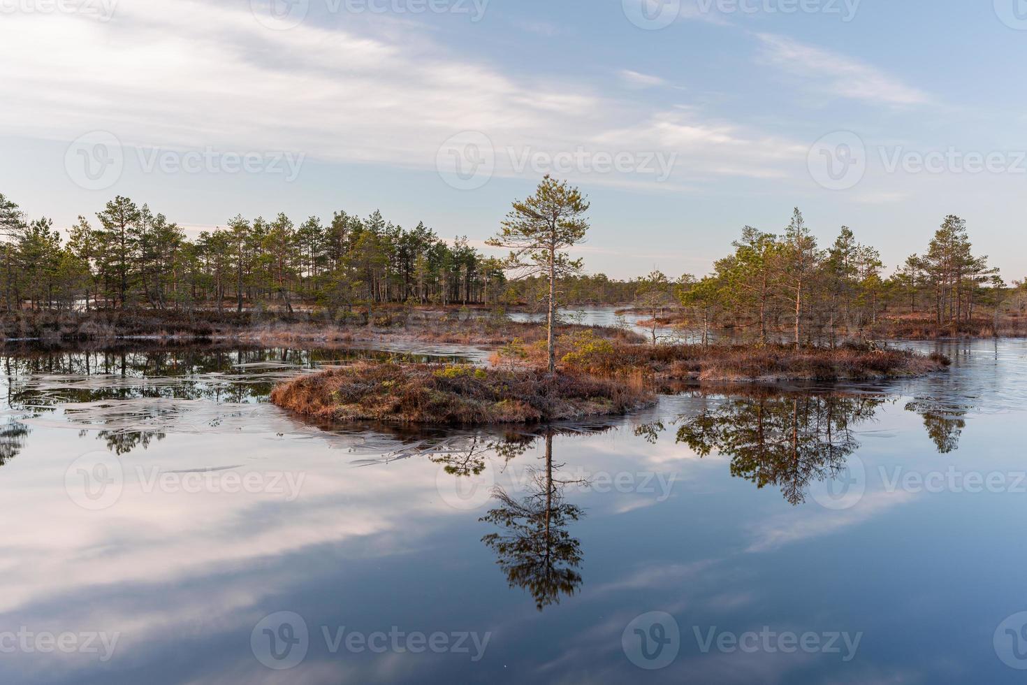 Spring in the swamp lakes photo