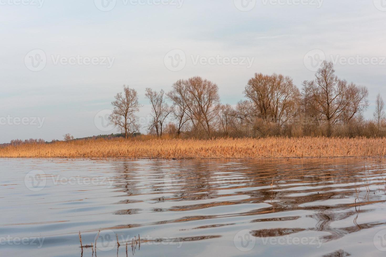 Flooded Meadows in Spring photo