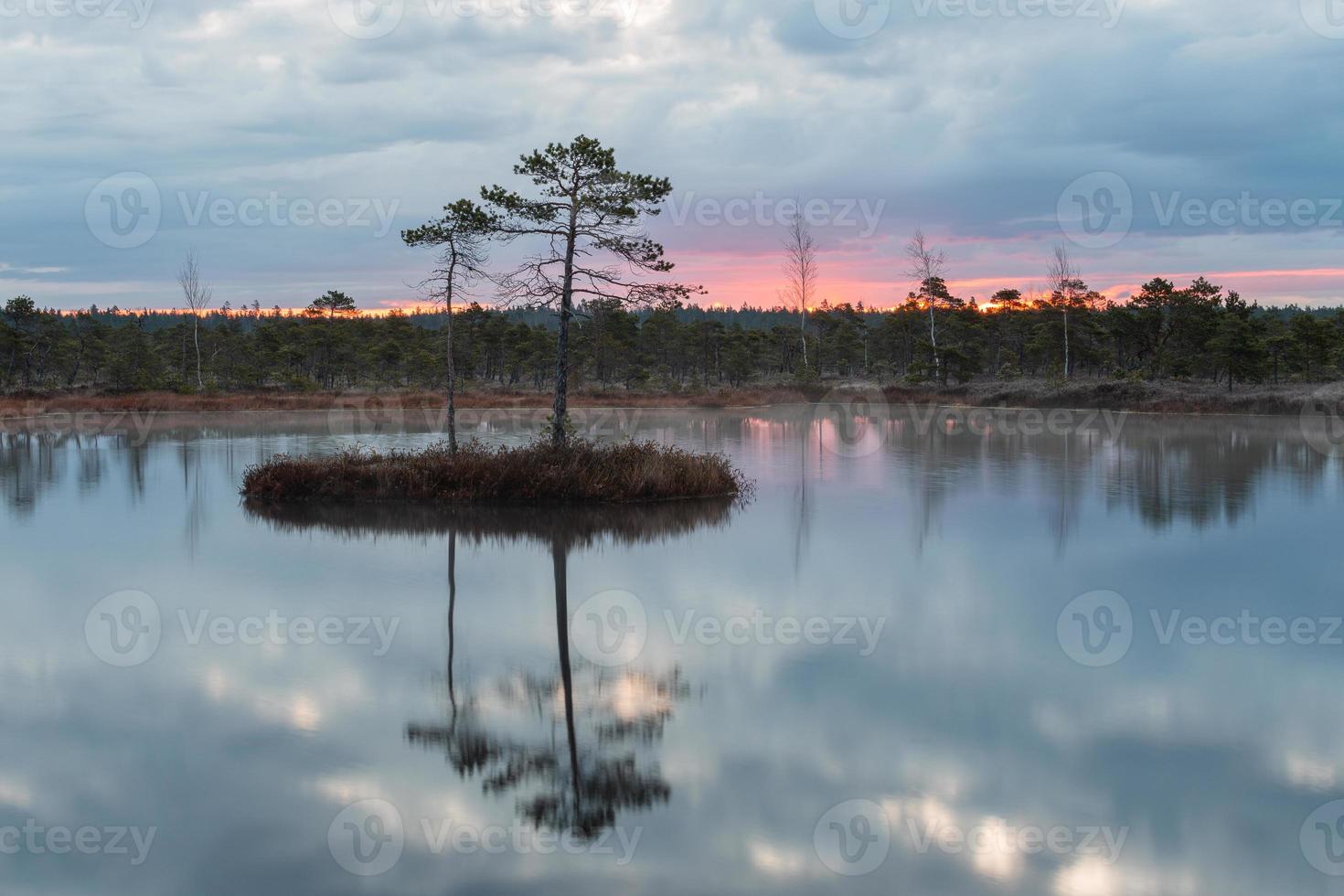 Spring in the swamp lakes photo