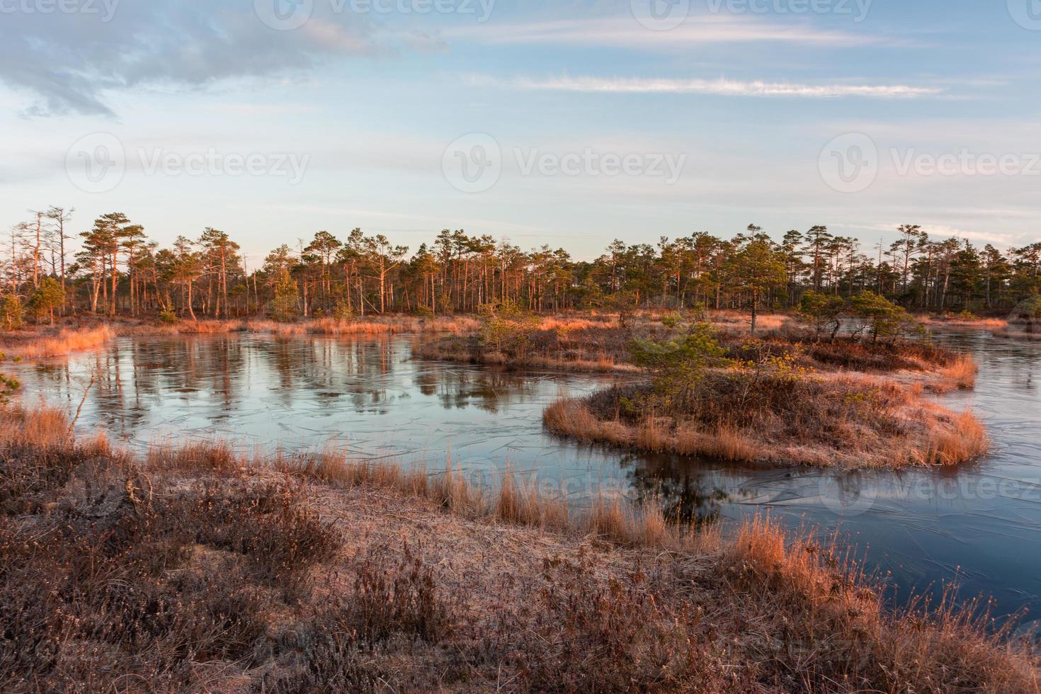 Spring in the swamp lakes photo