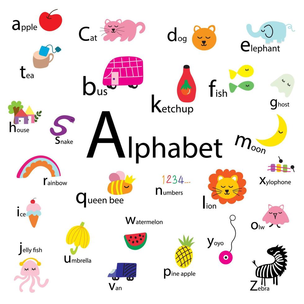 Alphabet for kids , preschool vector