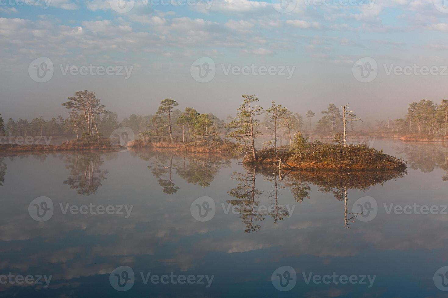 Spring in the swamp lakes photo