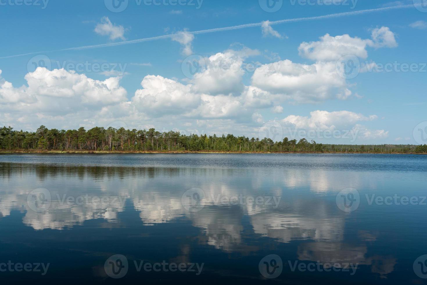 Spring in the swamp lakes photo