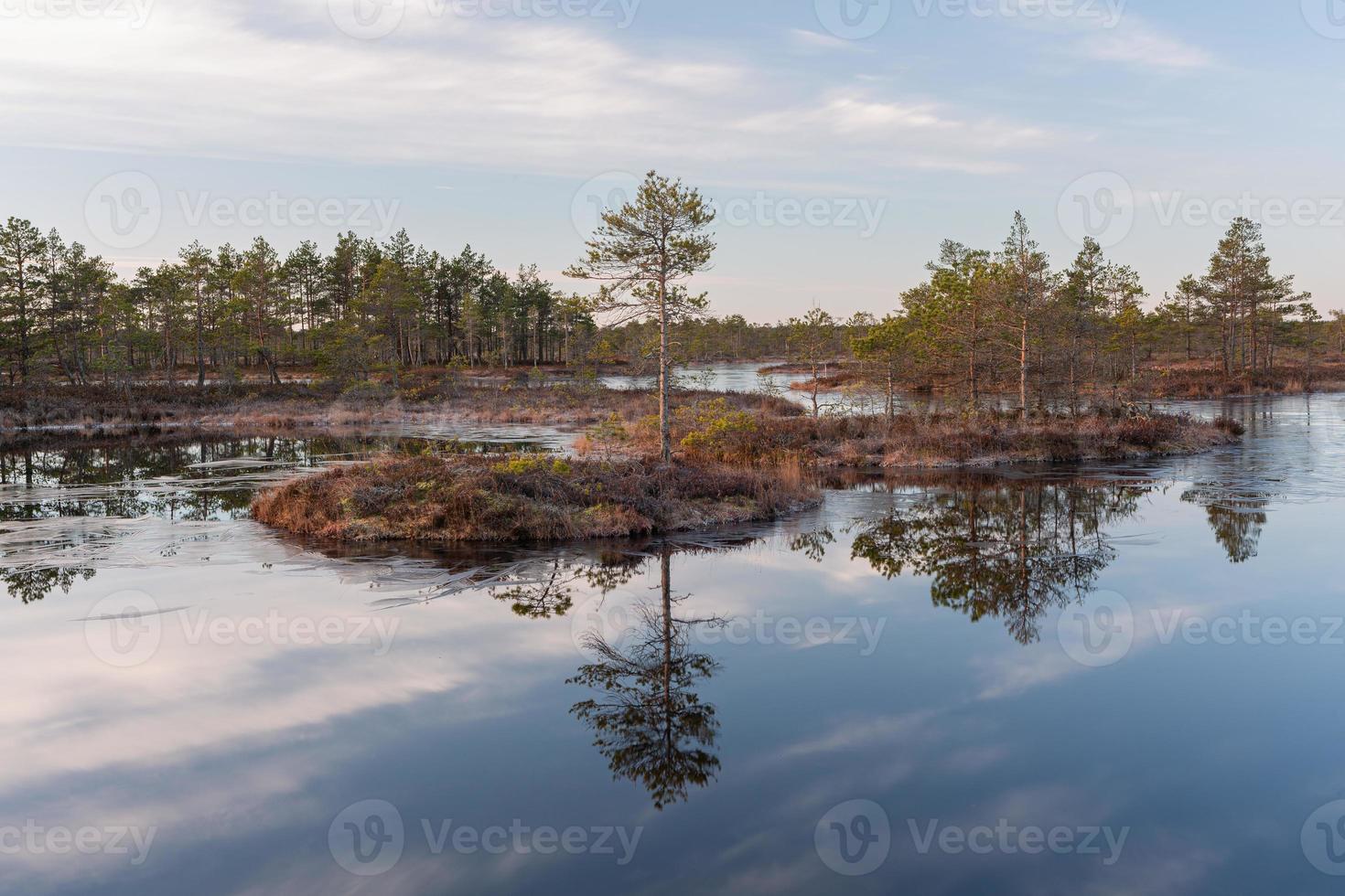 Spring in the swamp lakes photo