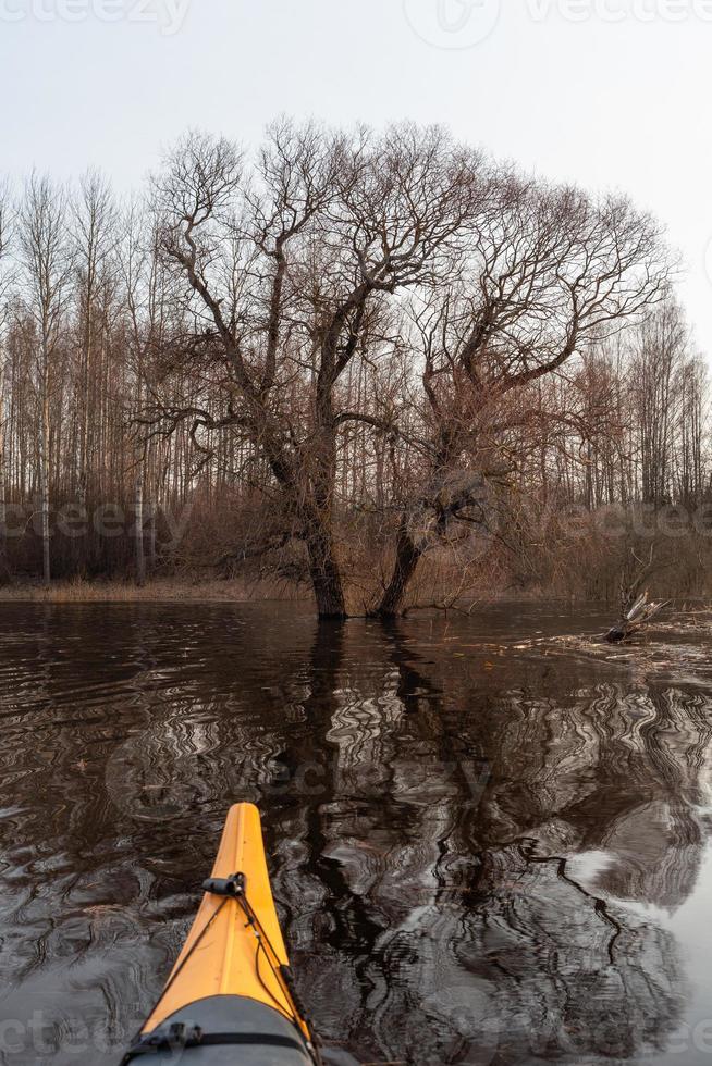 Flooded Meadows in Spring photo