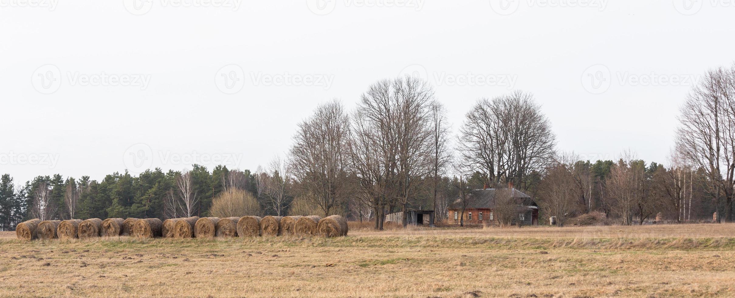 Flooded Meadows in Spring photo