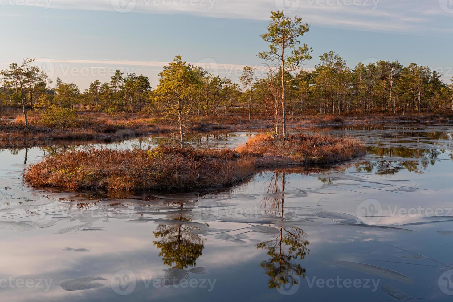 Spring in the swamp lakes photo