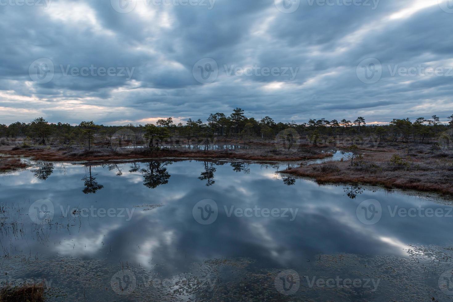 Spring in the swamp lakes photo