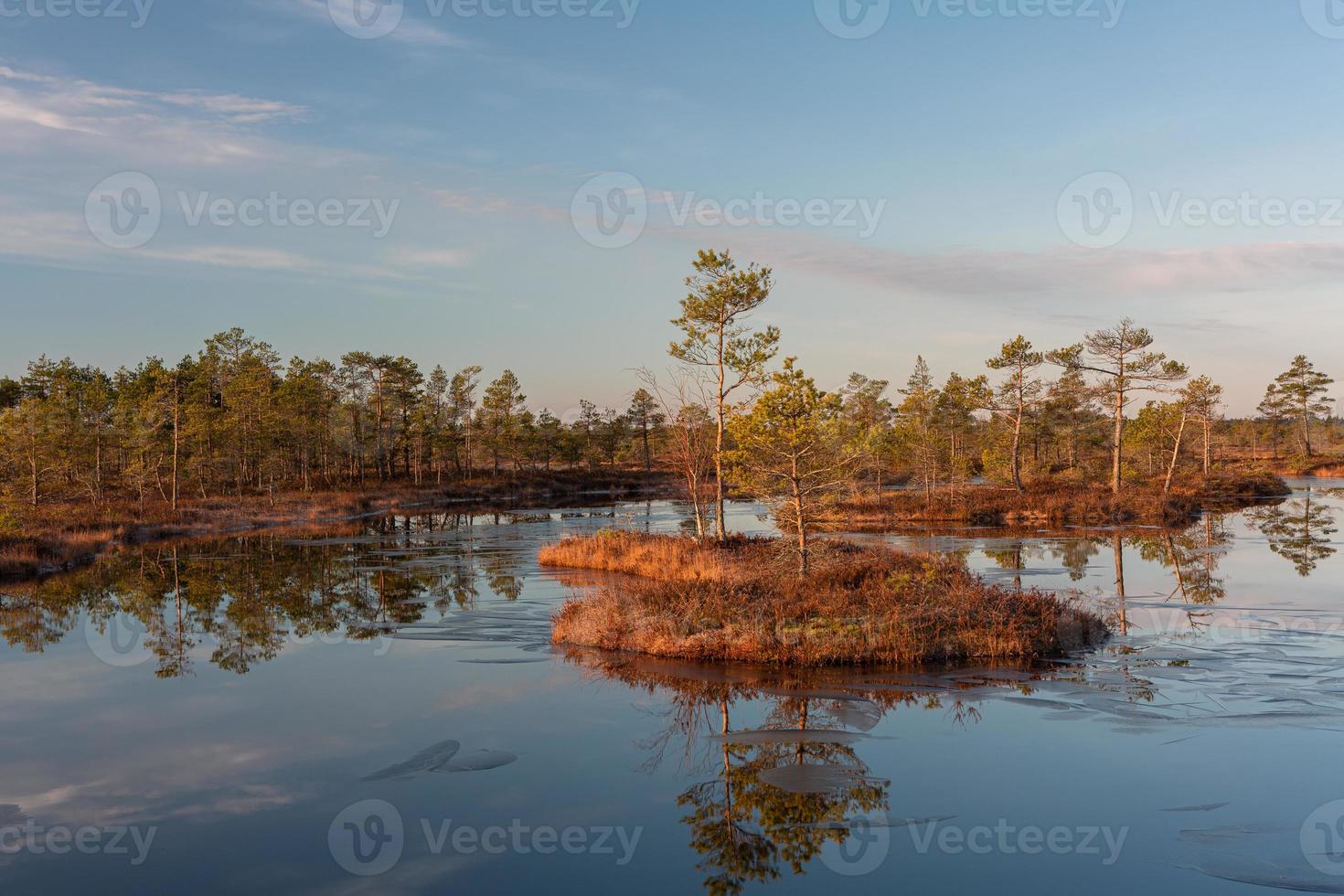 Spring in the swamp lakes photo