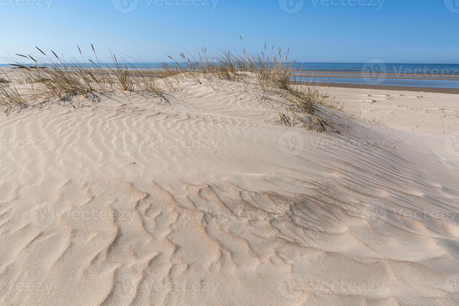 Patterns in The Beach Sand photo