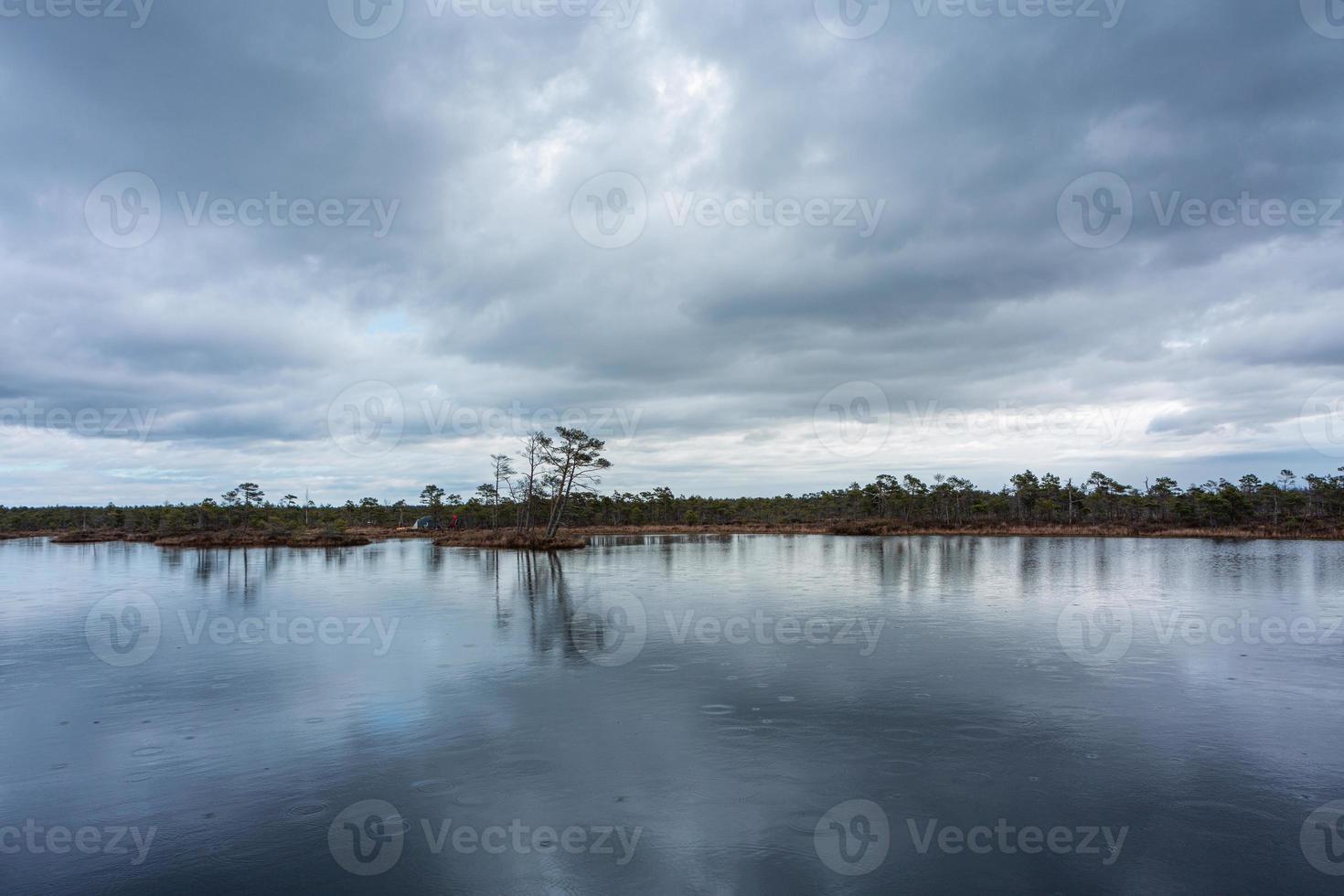 primavera en los lagos pantanosos foto