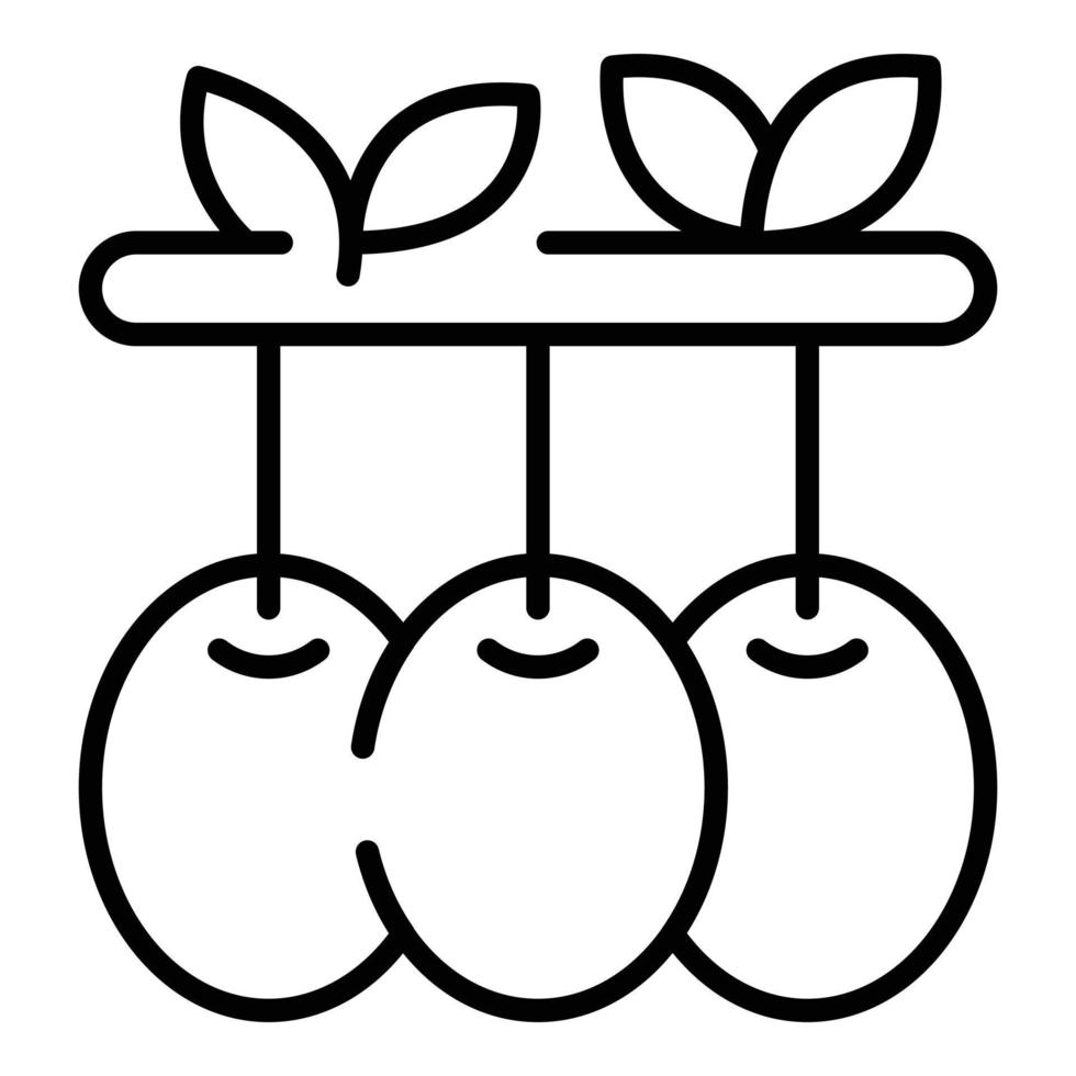 vector de contorno de icono de verduras de aceitunas. planta de olivo