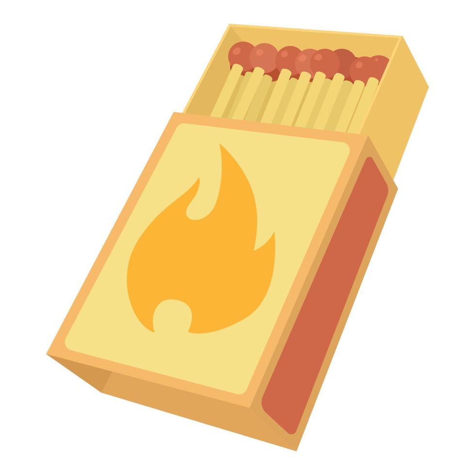 Box matches icon , cartoon style vector