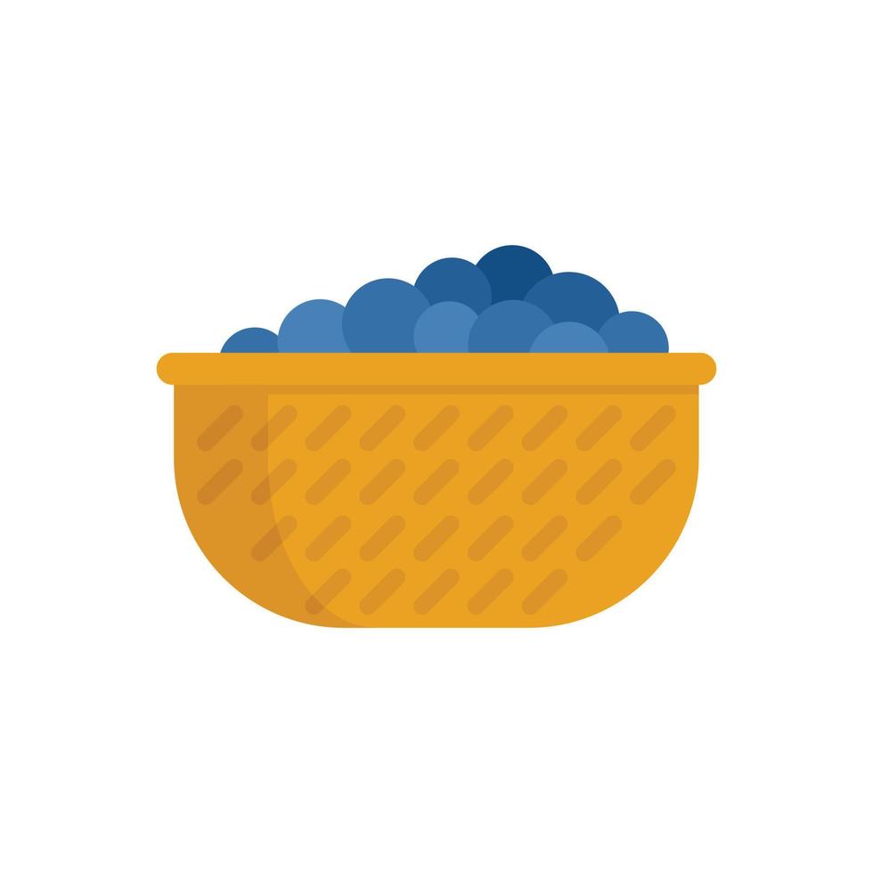 Garden grapes basket icon flat isolated vector