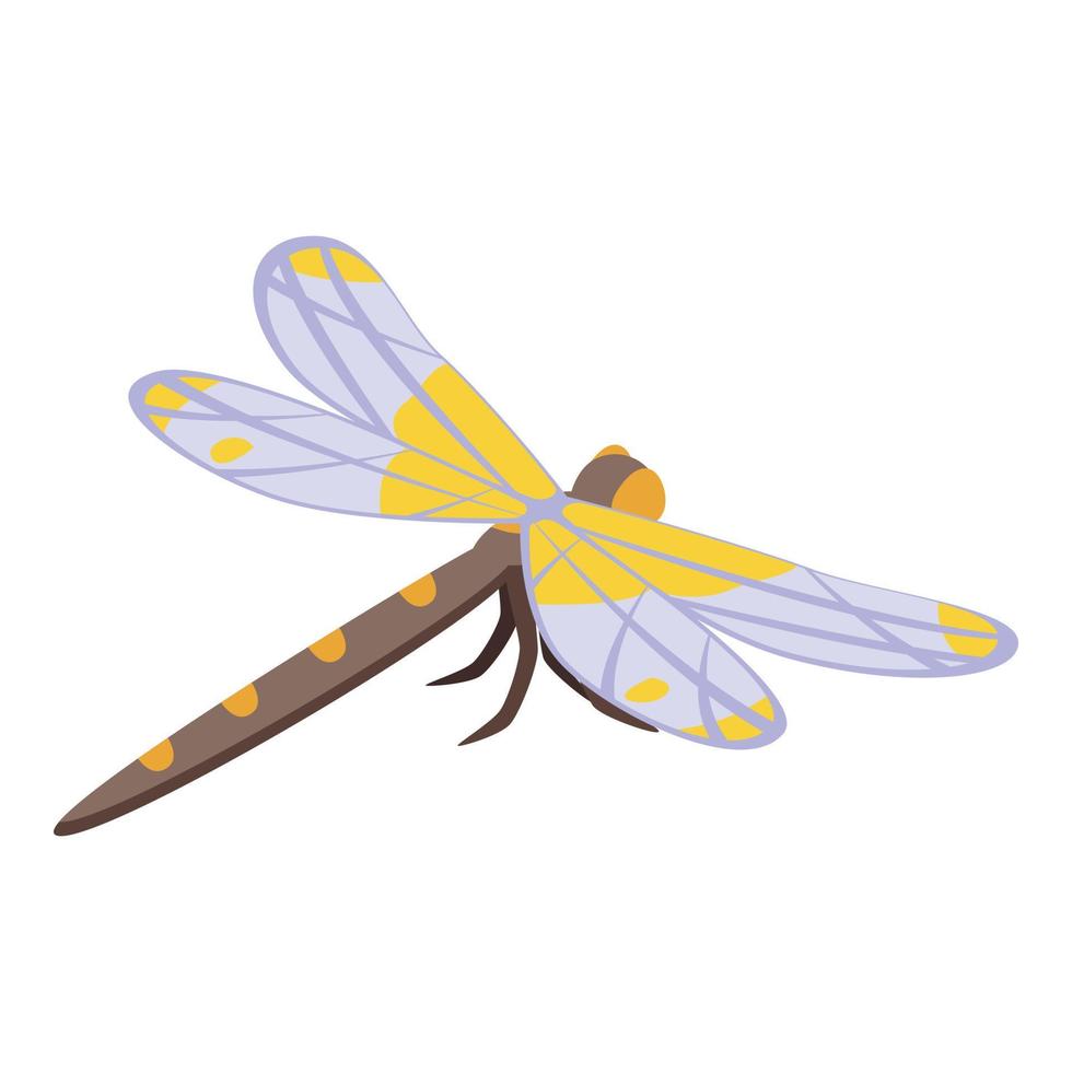 Dragonfly insect icon isometric vector. Dragon wing vector
