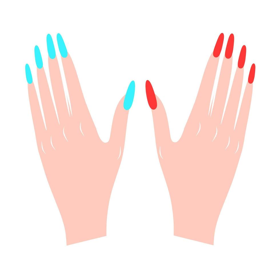 ilustración vectorial de dos manos femeninas con uñas rojas y azules sobre un fondo blanco. perfecto para logotipos de belleza, salón y crema blanqueadora. vector