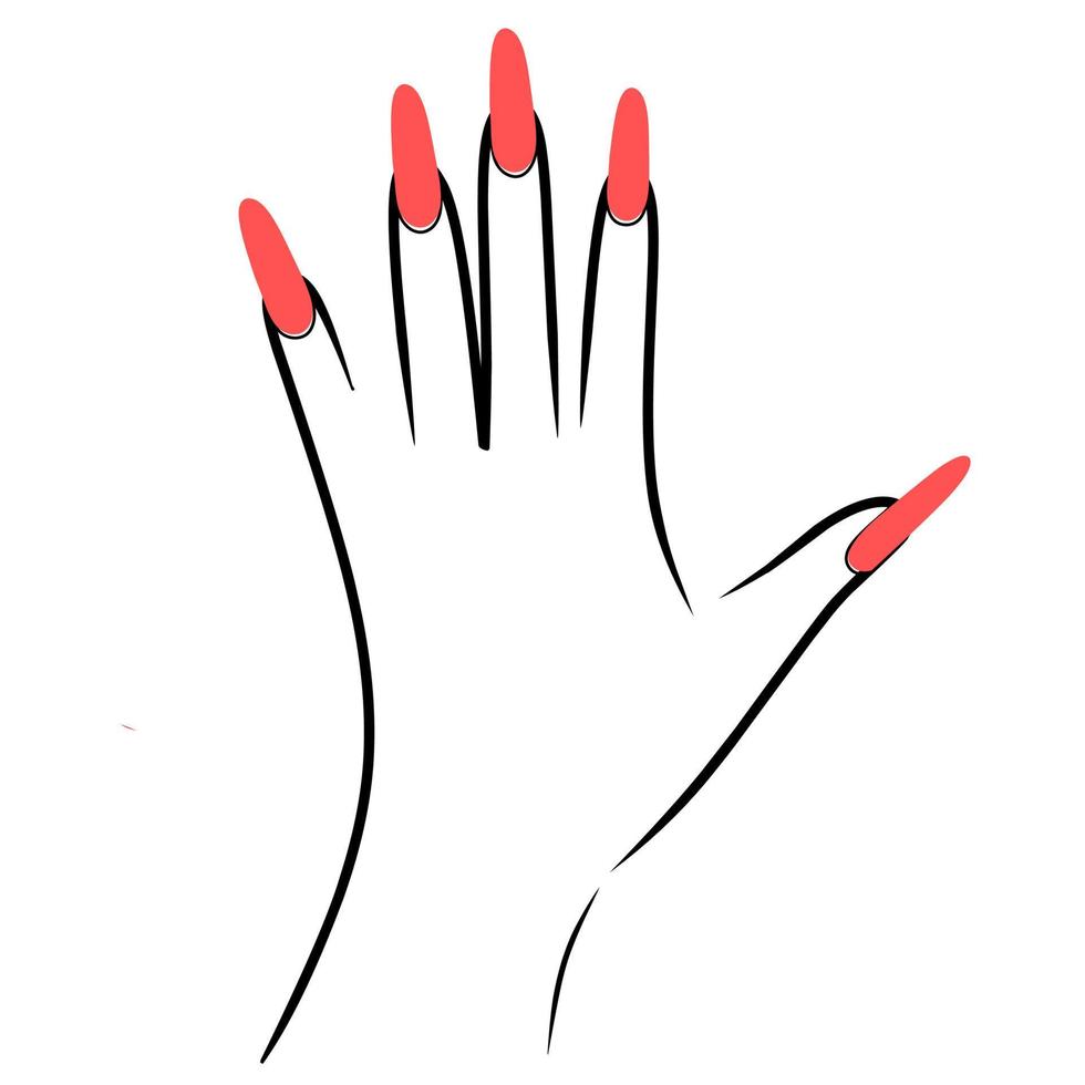 ilustración vectorial de la mano de una mujer con uñas rojas sobre un fondo blanco. bonito diseño de contorno de mano femenina para logotipos de belleza, salón y crema blanqueadora. vector