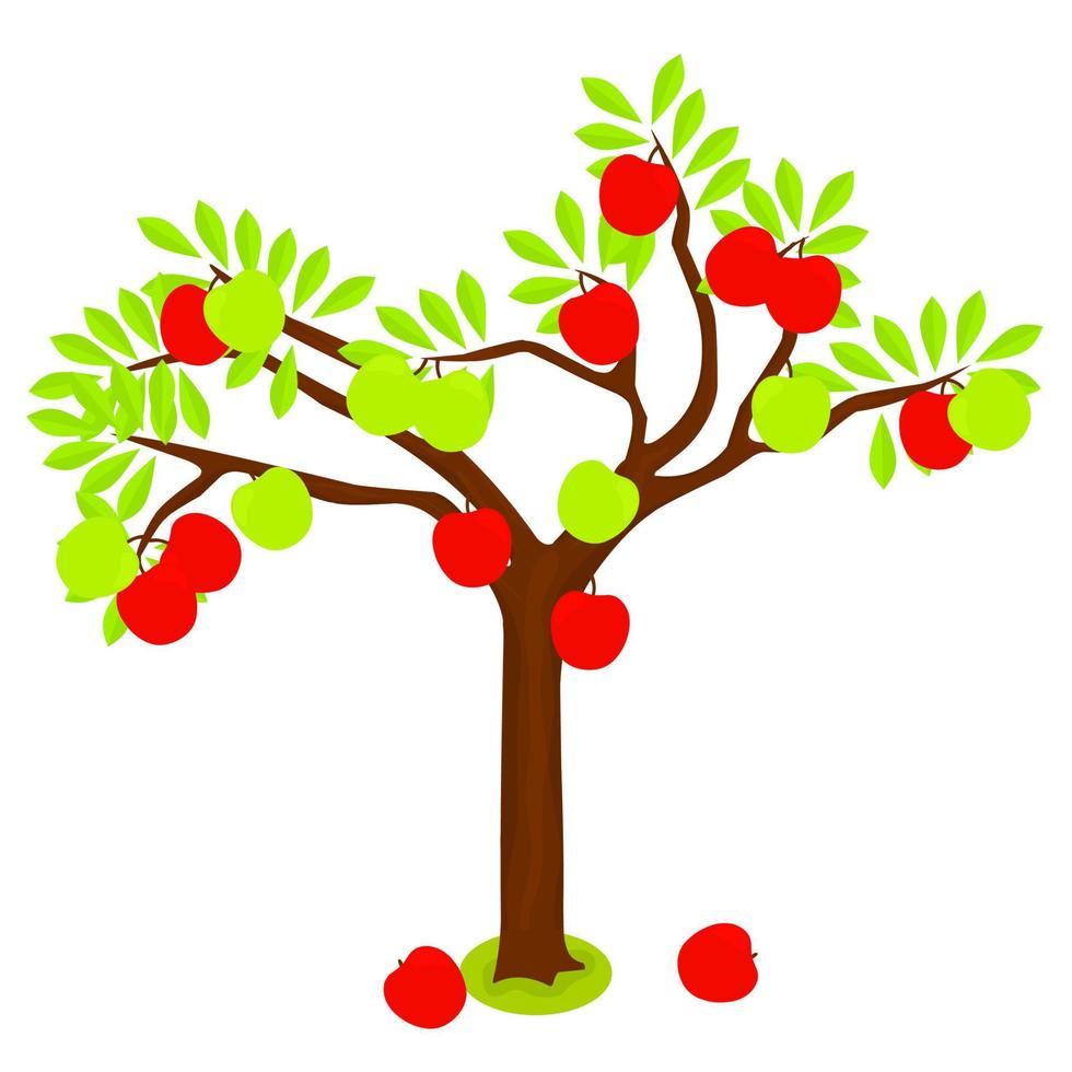 Apple tree with red and green fruits isolated on white background. Fruit farming concept with green leafy trees. Vector illustration