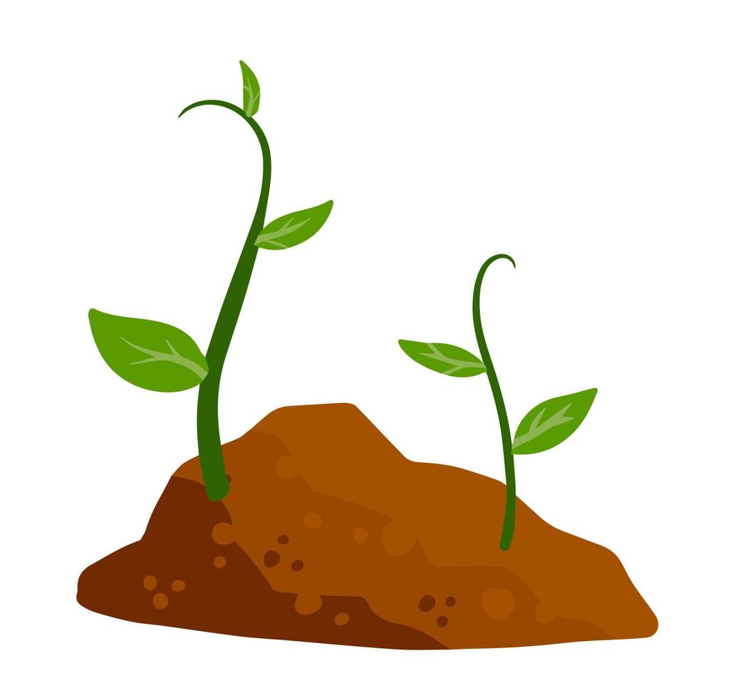 Sprout of plant in ground. Green leaves of young seedlings in soil. Flat cartoon illustration vector