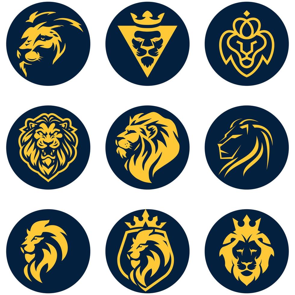 Lion face Portrait vector