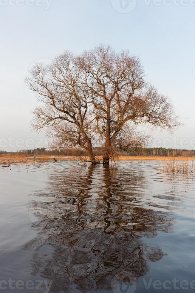 Flooded Meadows in Spring photo