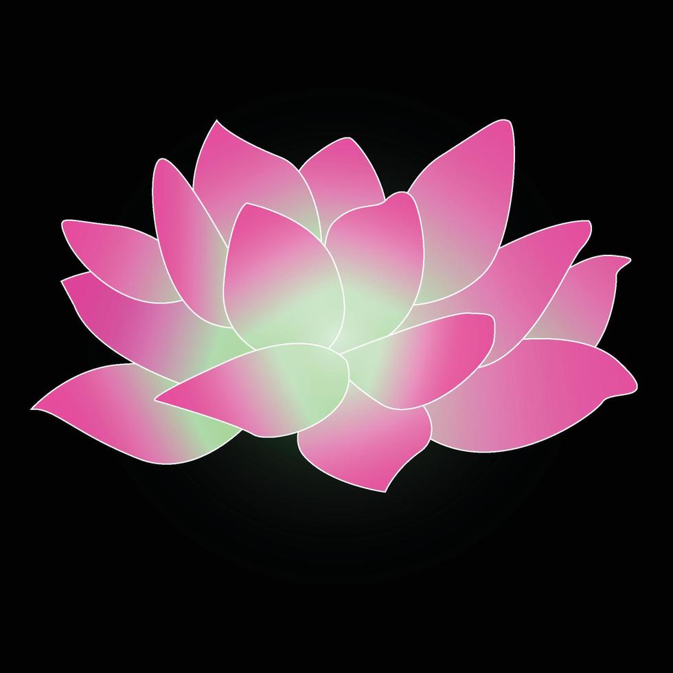 Lotus with Beautiful Pink Color vector