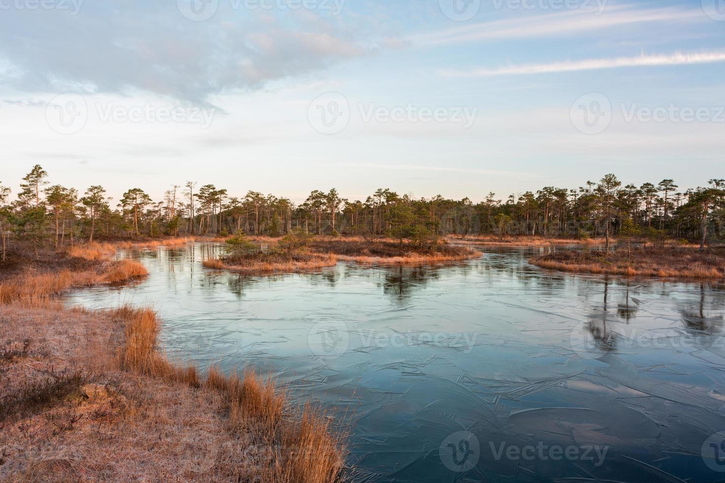 Spring in the swamp lakes photo