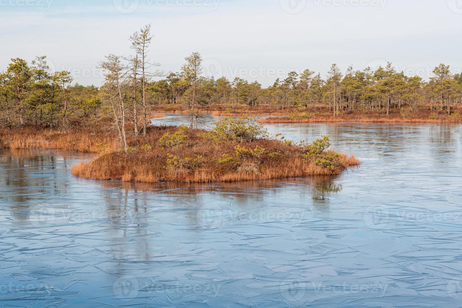 Spring in the swamp lakes photo