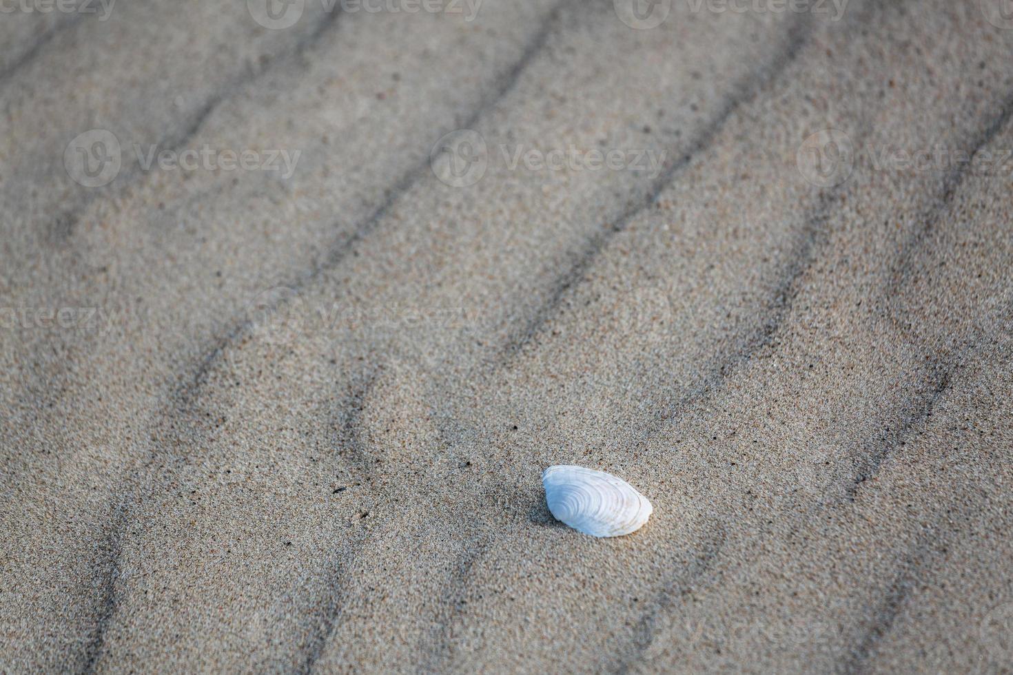 Patterns in The Beach Sand photo