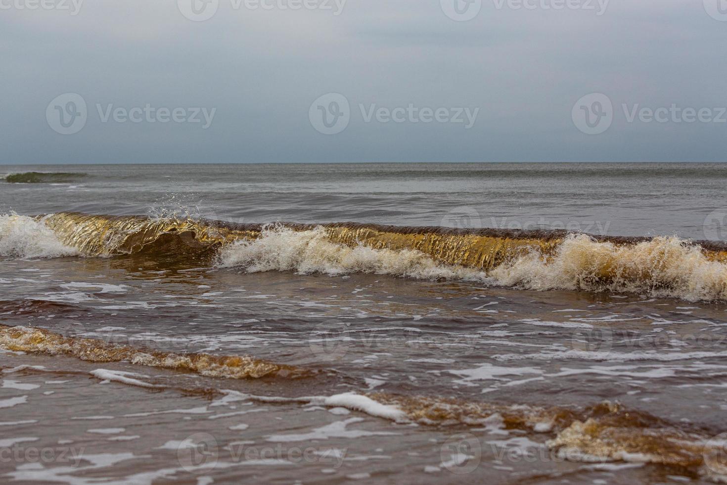 Baltic Sea Coast at Sunset photo