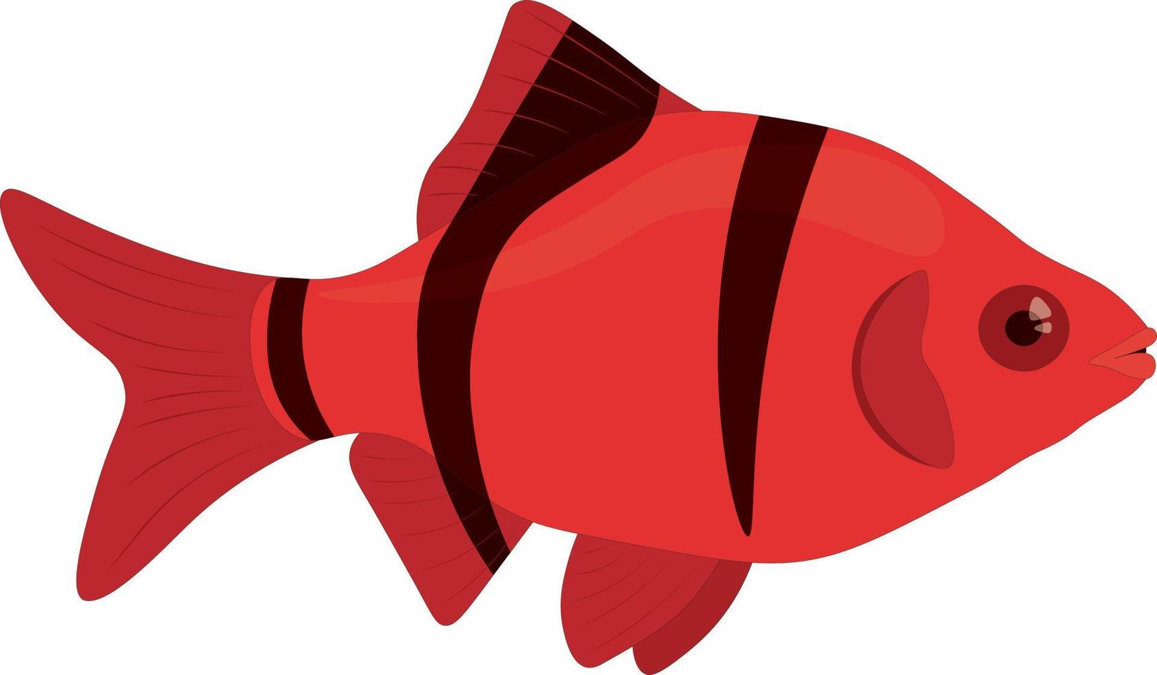 rojo con rayas negras barbus sumatra fish ilustración vectorial vector