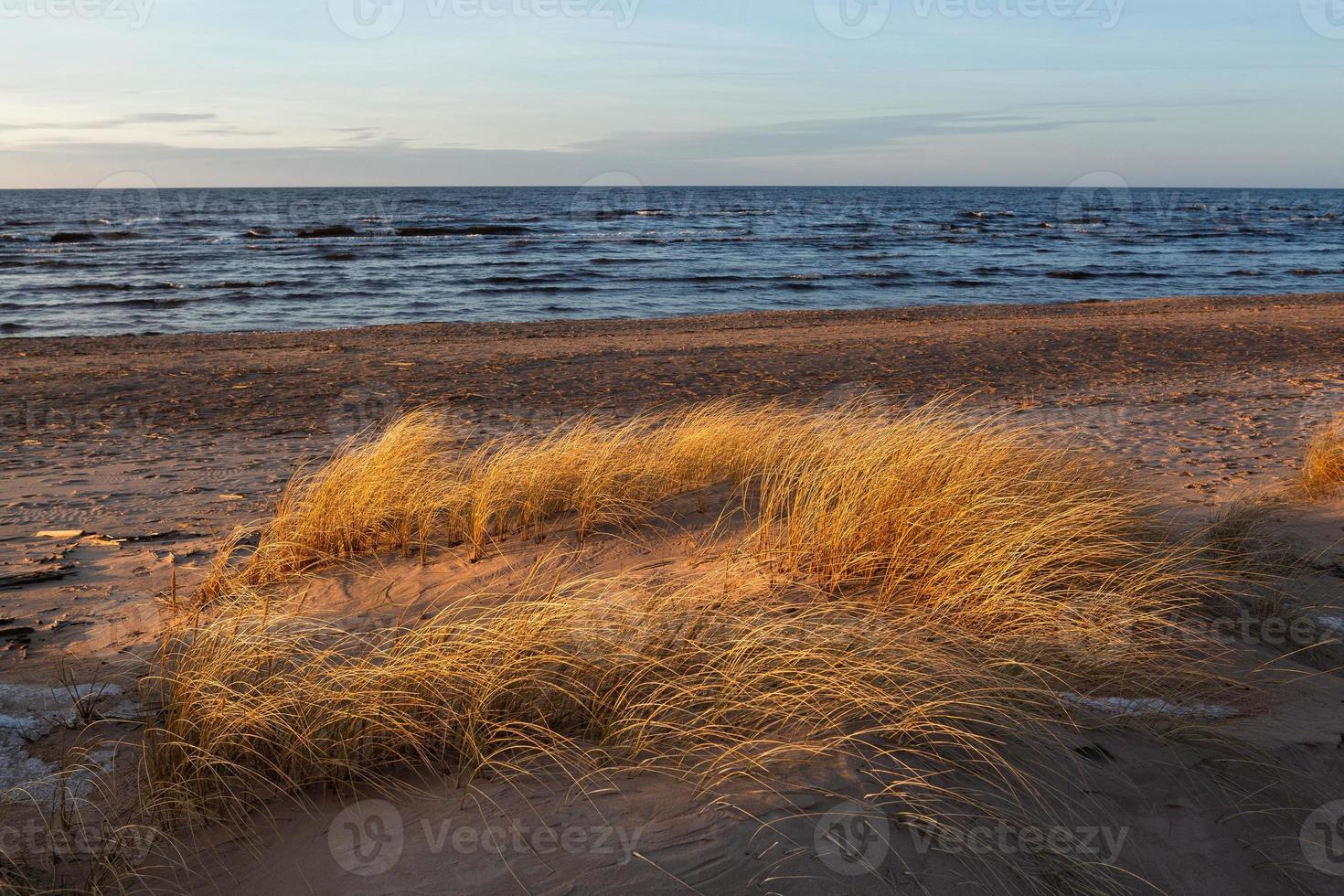 Baltic Sea Coast With Pebbles And Ice at Sunset photo