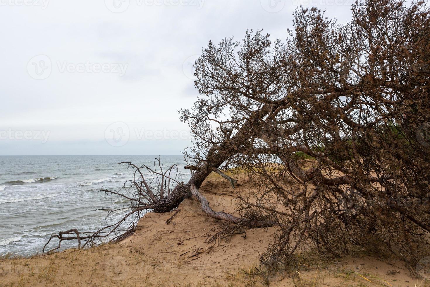 Baltic Sea Coast With Pebbles And Ice at Sunset photo