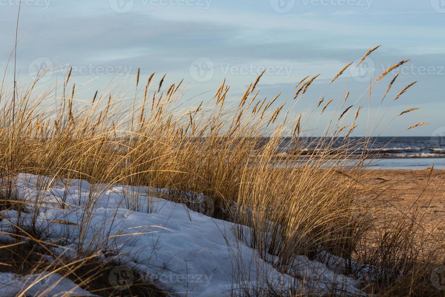 Baltic Sea Coast With Pebbles And Ice at Sunset photo