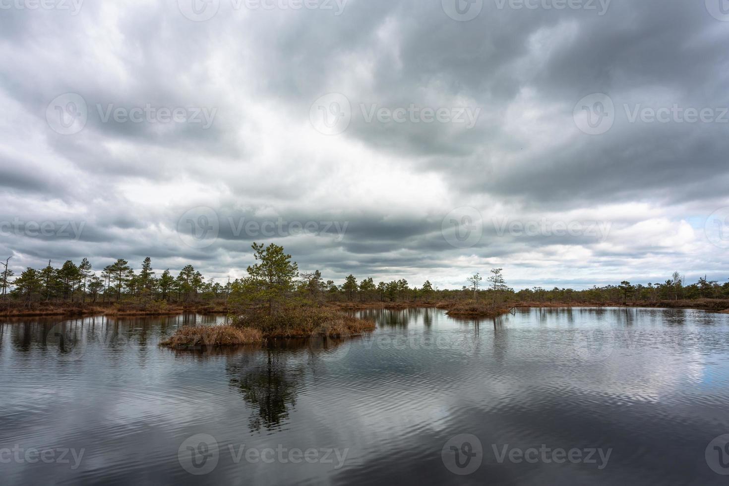 Spring in the swamp lakes photo