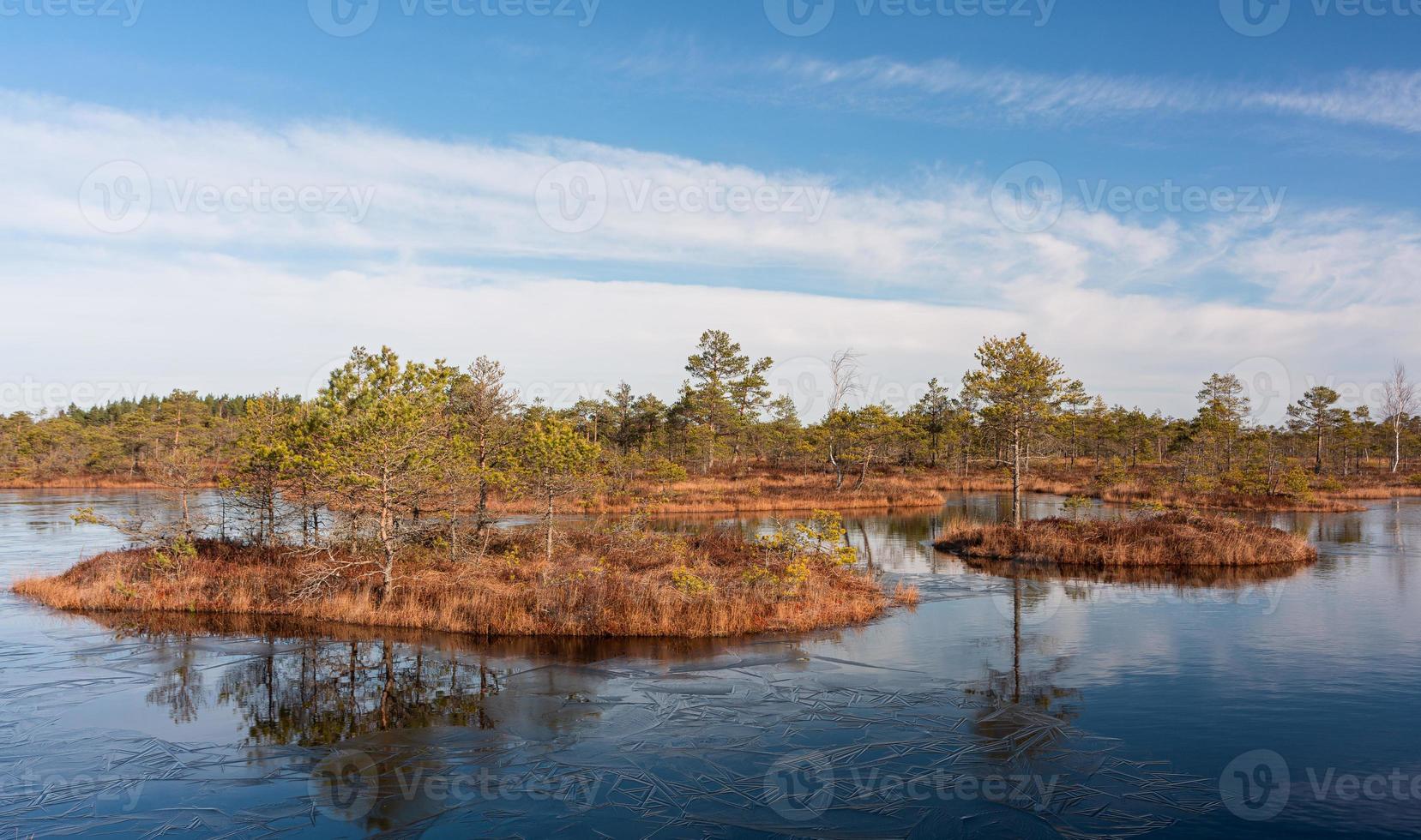 Spring in the swamp lakes photo