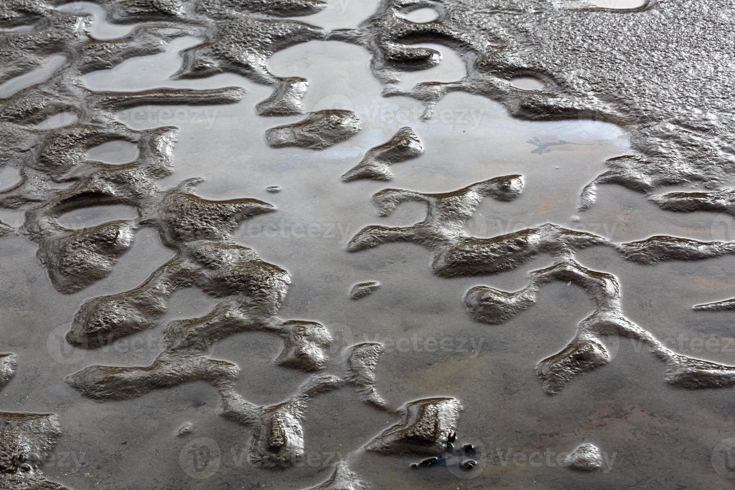 Patterns in The Beach Sand photo