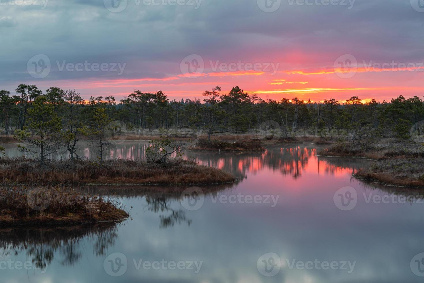 primavera en los lagos pantanosos foto