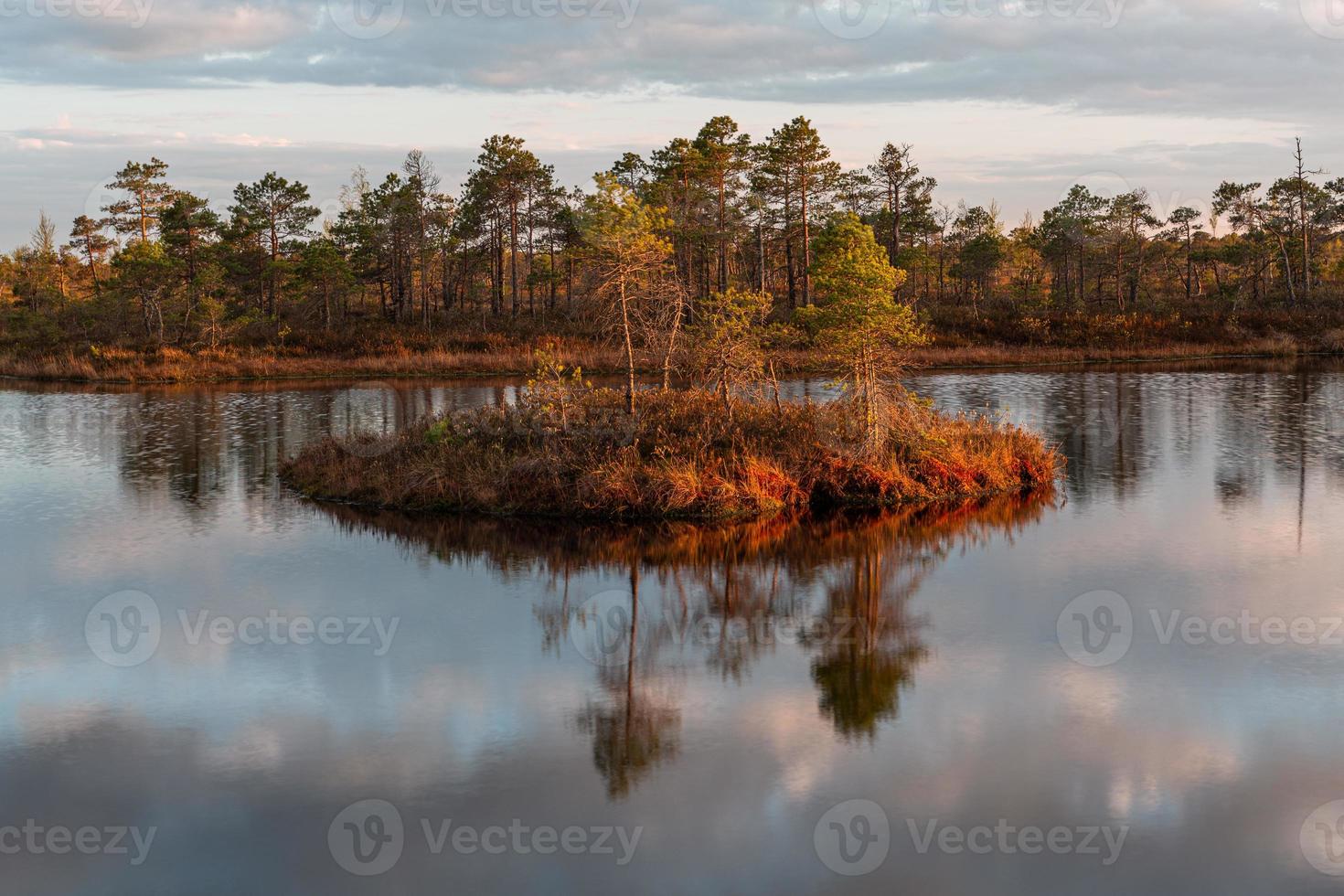 Spring in the swamp lakes photo