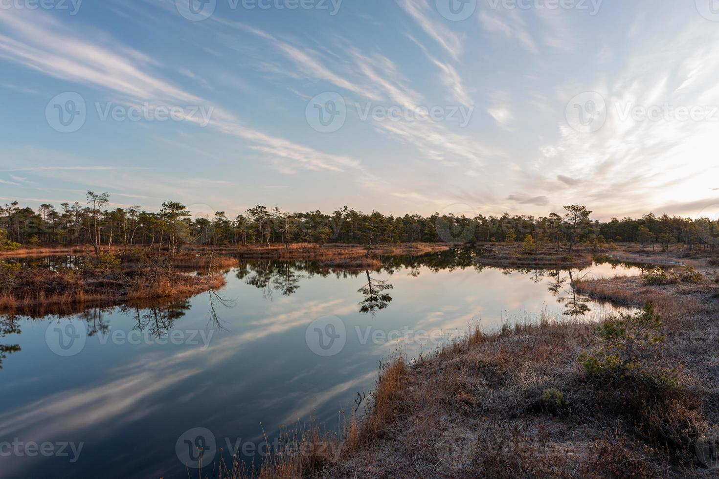 Spring in the swamp lakes photo