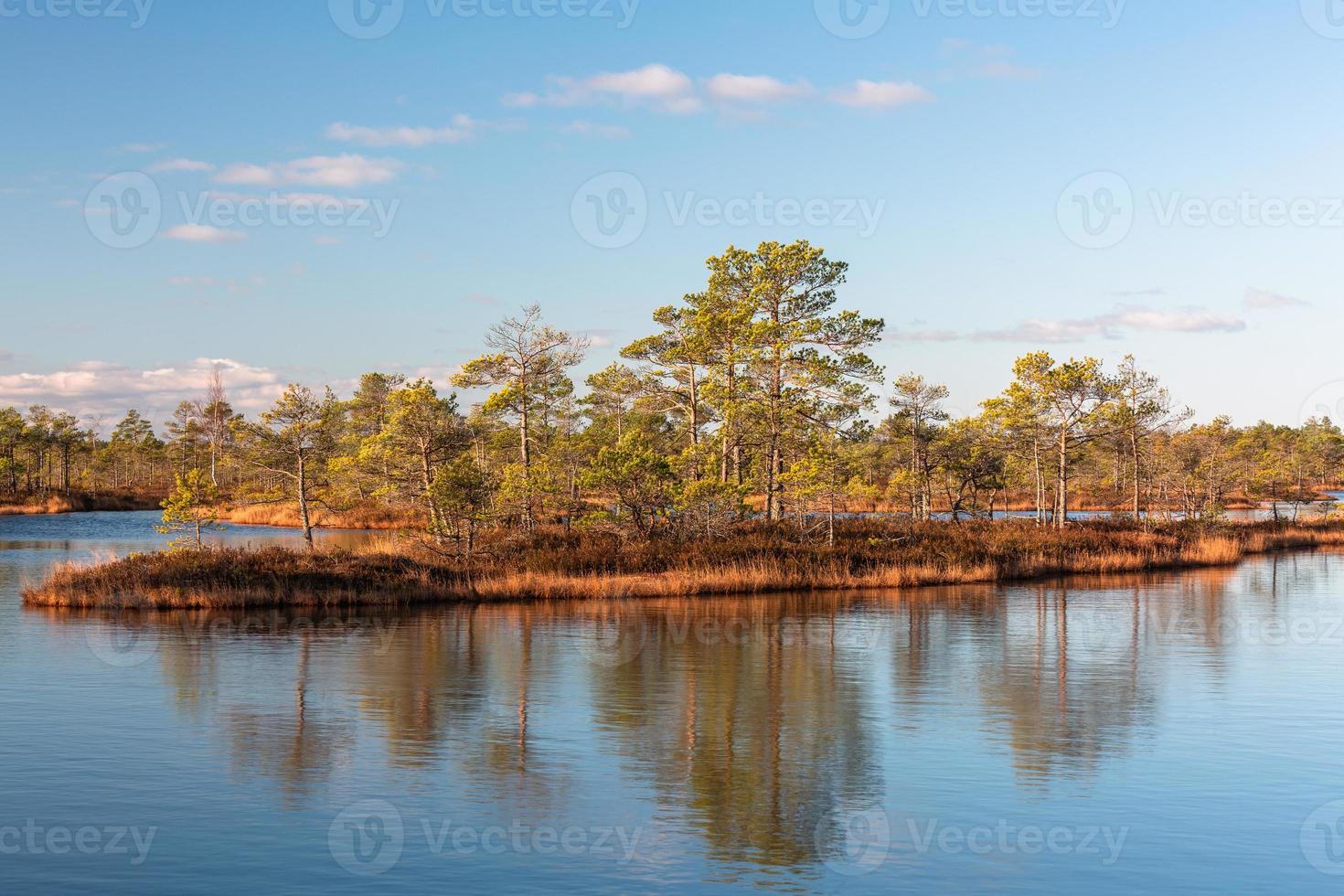 primavera en los lagos pantanosos foto