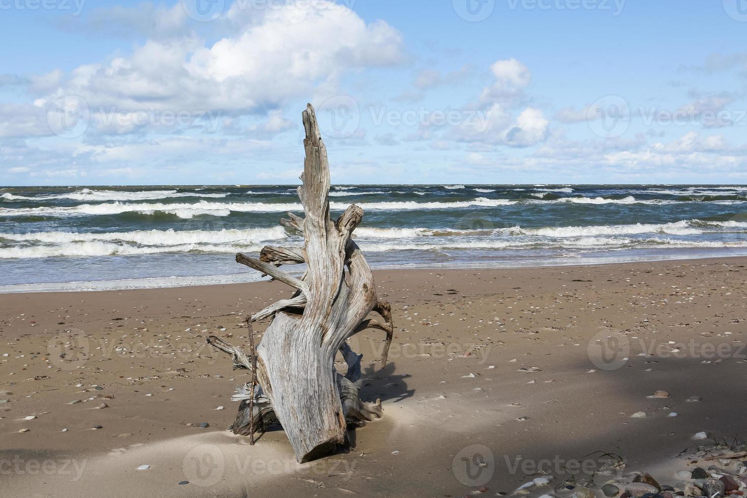 Cloudy Sea Views of the Baltic Sea at Sunset photo