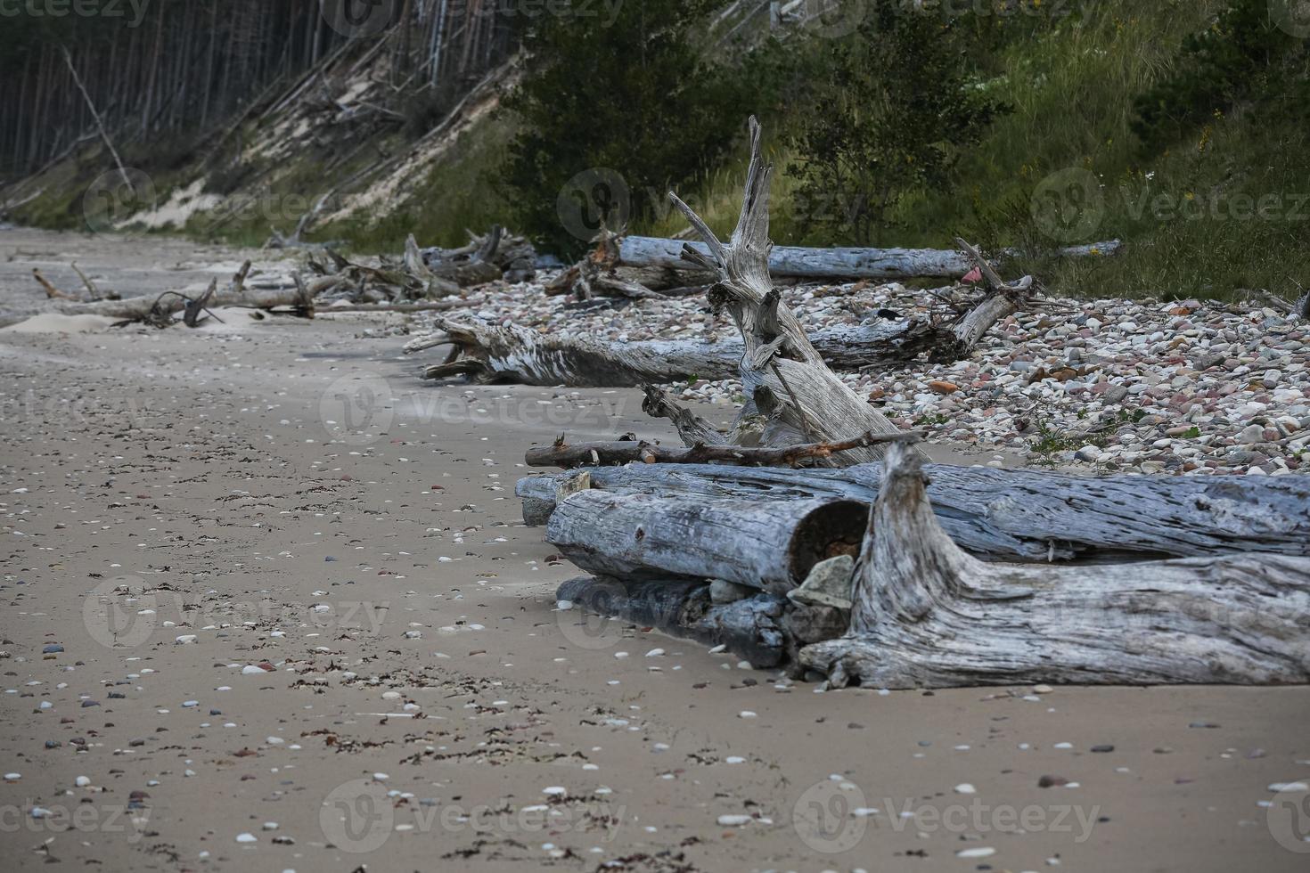 Baltic Sea Coast photo